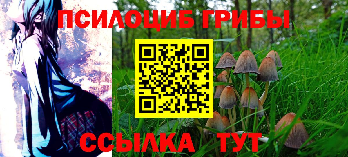 Псилоцибиновые грибы MAGIC MUSHROOMS Кириши